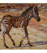 Zebra Baby 12x12