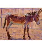 Burro Jack 314x11 oil on canvas