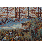 Coyote in Winter 20x16 