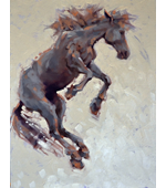 equine_8_18x14_ol