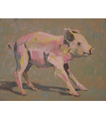 Pig 1 8x10 om